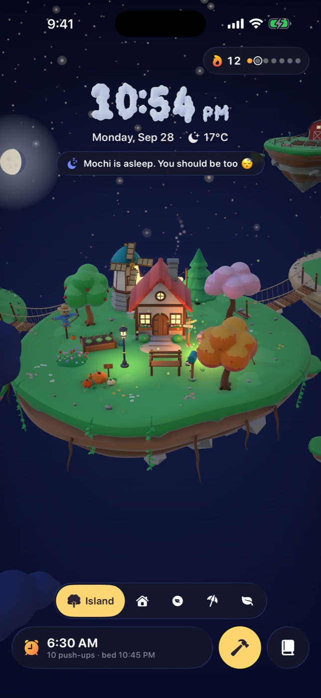 The island at night with Mochi asleep.